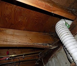 termite damage found during inspection